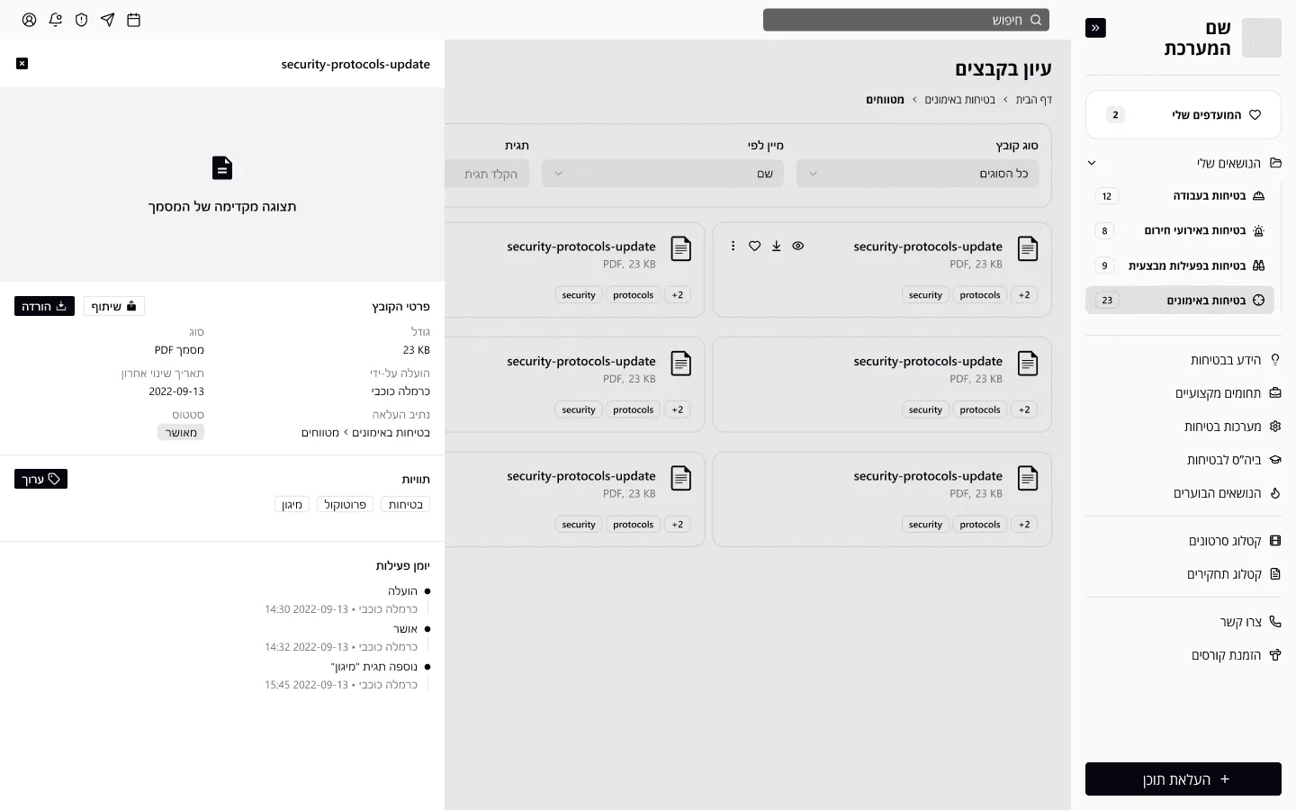 Browsing files with the file details panel open, in Hebrew. A grid of file cards, with the preview, file details, tags and activity log in a panel on the left.