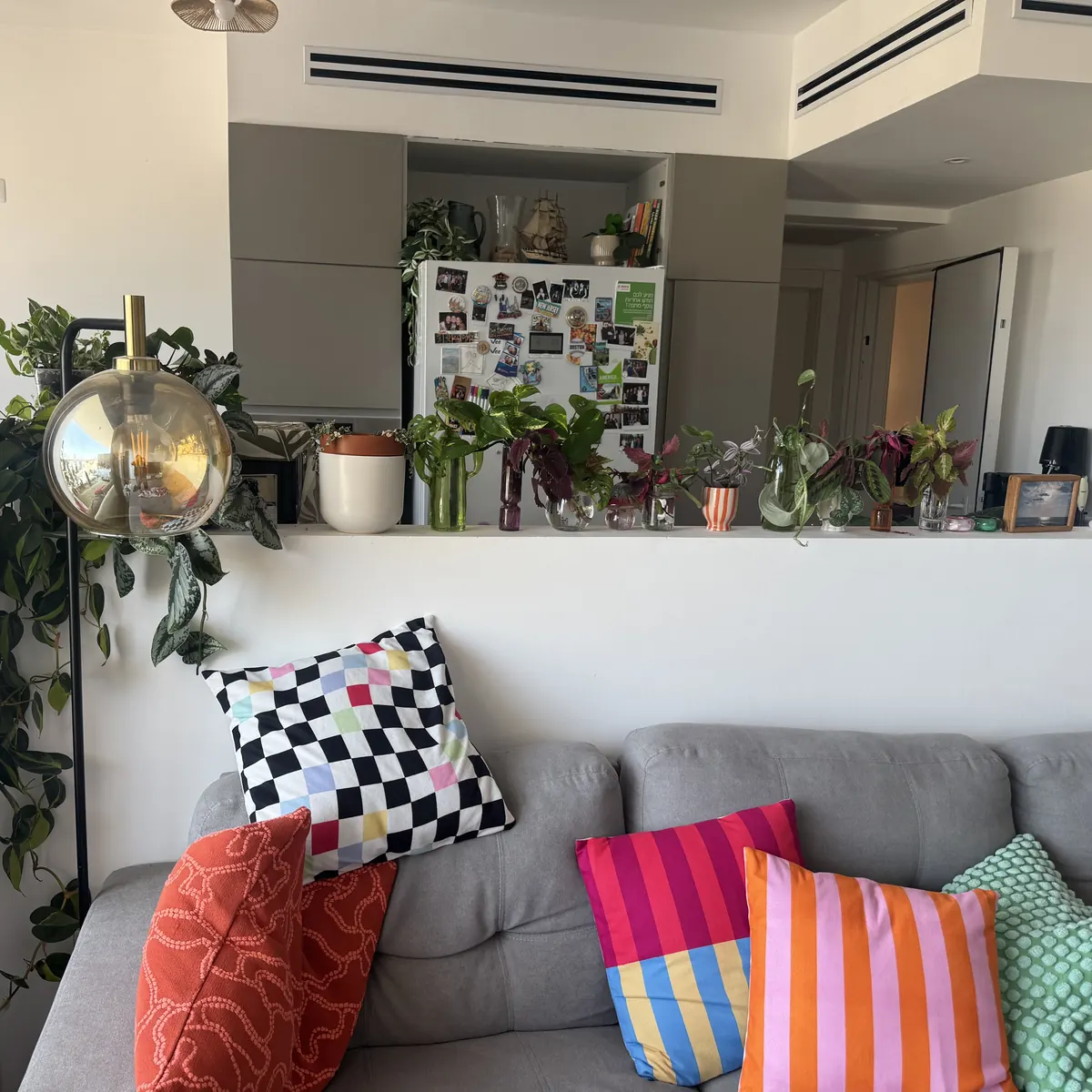 A living room wall of plants: a shelf of cuttings rooting in jars on a counter, a trailing vine, a fridge with photos, and a sofa with colorful cushions